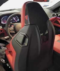Carbon seat back cover view