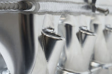 Load image into Gallery viewer, Photo - Close Up