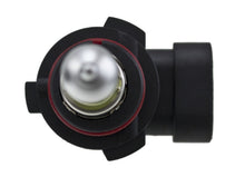 Load image into Gallery viewer, Photo - Unmounted